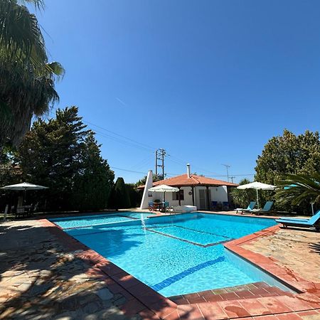 Country House With Pool And Big Garden أوروبوس المظهر الخارجي الصورة